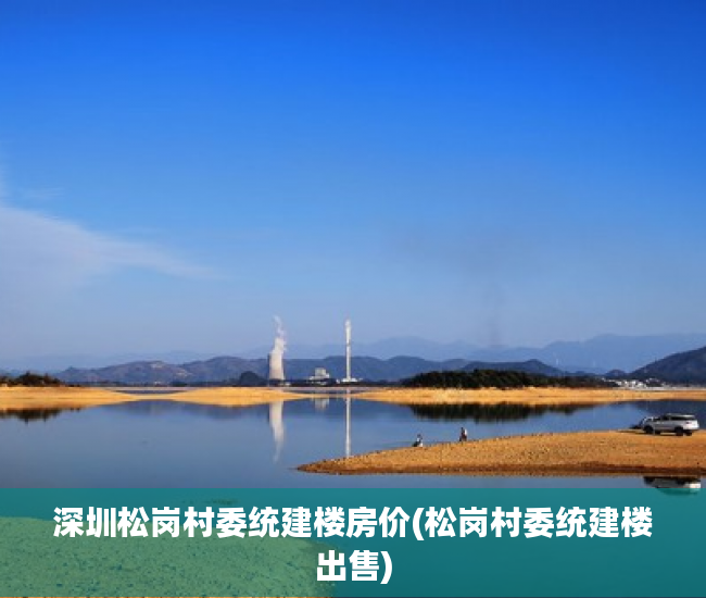 深圳松岗村委统建楼房价(松岗村委统建楼出售) 深圳松岗村委统建楼房价(松岗村委统建楼出售)