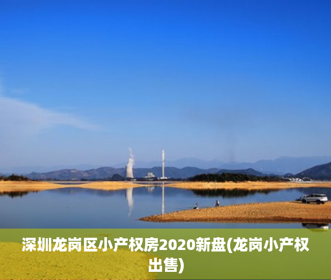 深圳龙岗区小产权房2020新盘(龙岗小产权出售)