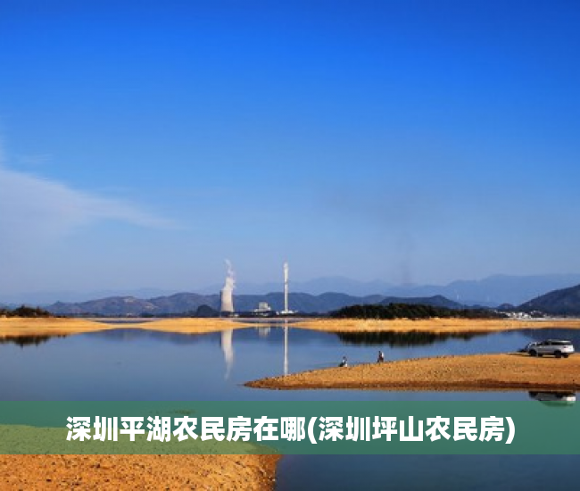 深圳平湖农民房在哪(深圳坪山农民房) 深圳平湖农民房在哪(深圳坪山农民房)