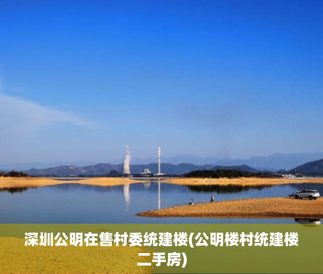 深圳公明在售村委统建楼(公明楼村统建楼二手房)