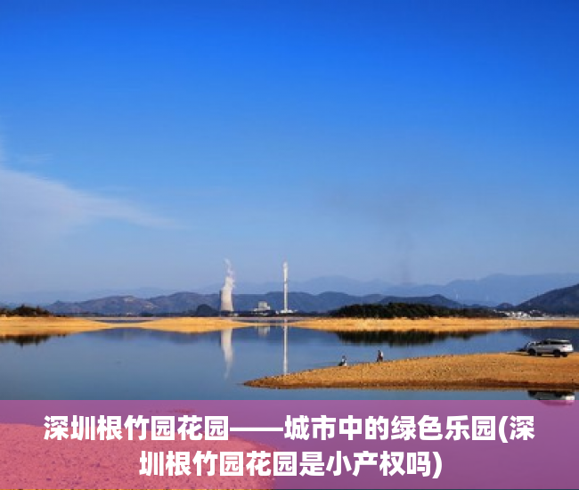 深圳根竹园花园——城市中的绿色乐园(深圳根竹园花园是小产权吗)