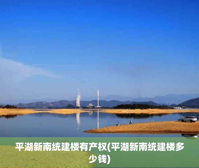平湖新南统建楼有产权(平湖新南统建楼多少钱)