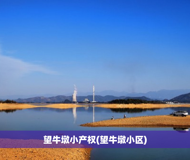 望牛墩小产权(望牛墩小区) 望牛墩小产权(望牛墩小区)