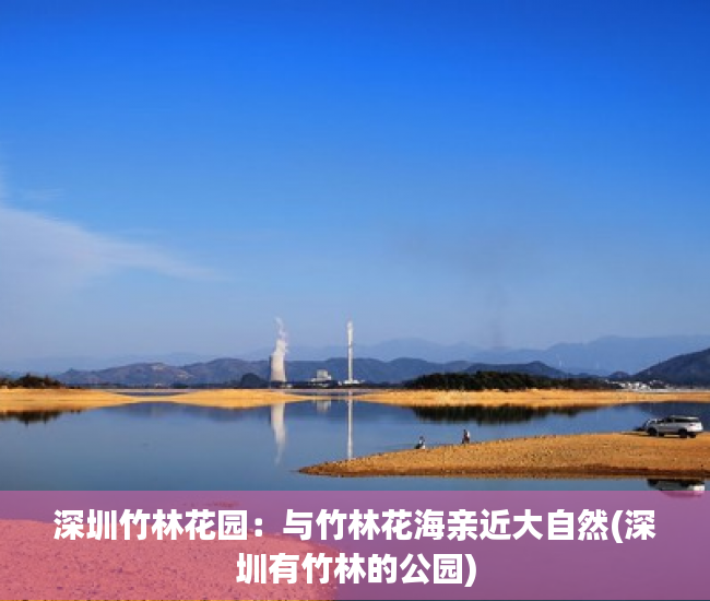 深圳竹林花园：与竹林花海亲近大自然(深圳有竹林的公园)