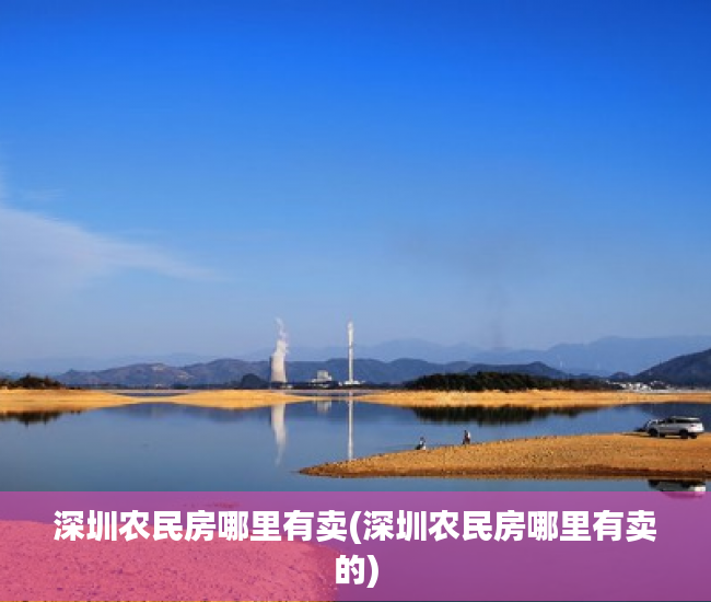 深圳农民房哪里有卖(深圳农民房哪里有卖的)
