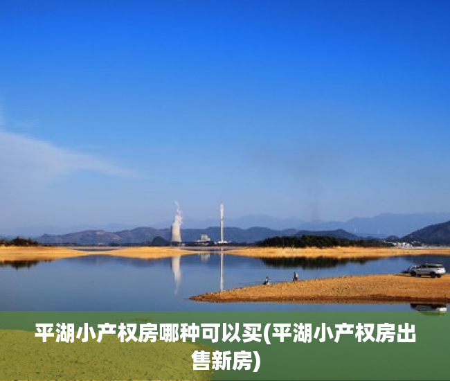 平湖小产权房哪种可以买(平湖小产权房出售新房) 平湖小产权房哪种可以买(平湖小产权房出售新房)