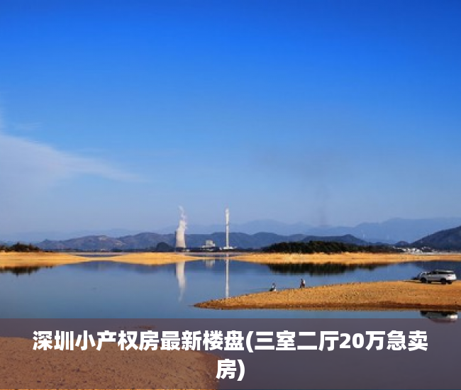 深圳小产权房最新楼盘(三室二厅20万急卖房) 深圳小产权房最新楼盘(三室二厅20万急卖房)