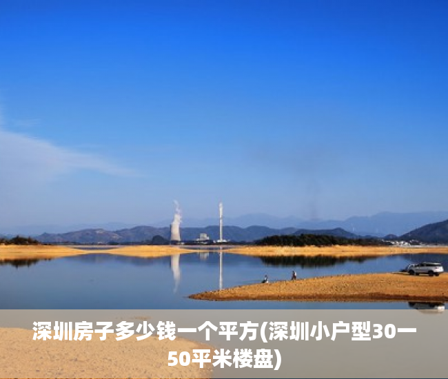 深圳房子多少钱一个平方(深圳小户型30一50平米楼盘)