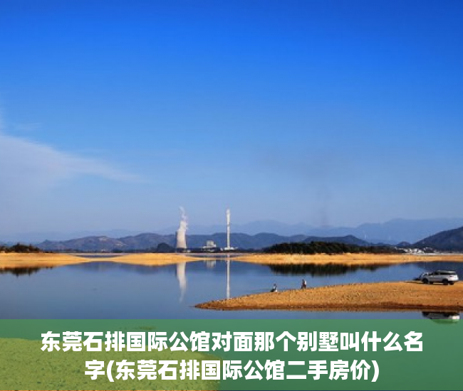 东莞石排国际公馆对面那个别墅叫什么名字(东莞石排国际公馆二手房价)