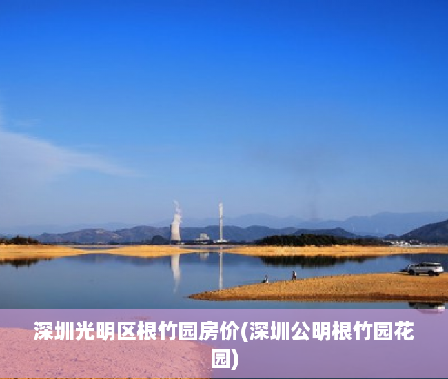 深圳光明区根竹园房价(深圳公明根竹园花园)