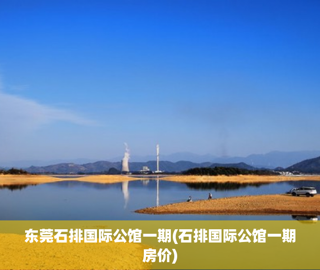 东莞石排国际公馆一期(石排国际公馆一期房价)
