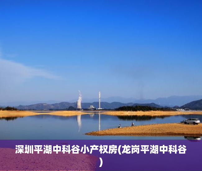 深圳平湖中科谷小产权房(龙岗平湖中科谷) 深圳平湖中科谷小产权房(龙岗平湖中科谷)