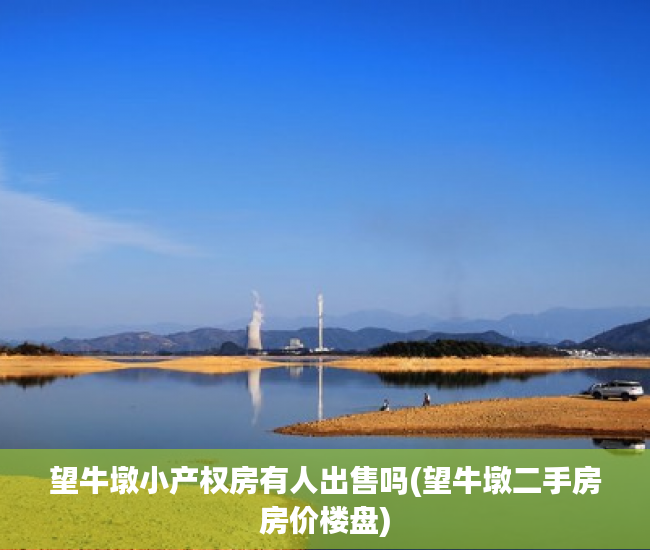 望牛墩小产权房有人出售吗(望牛墩二手房房价楼盘) 望牛墩小产权房有人出售吗(望牛墩二手房房价楼盘)