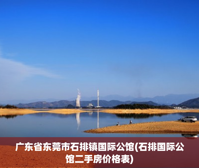 广东省东莞市石排镇国际公馆(石排国际公馆二手房价格表)
