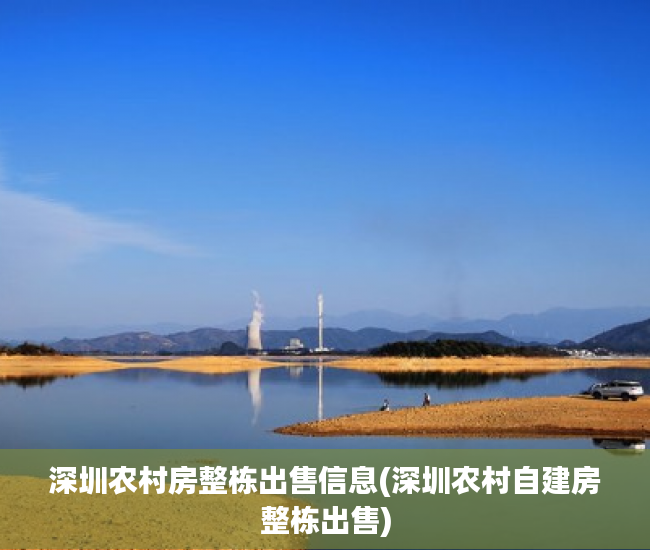 深圳农村房整栋出售信息(深圳农村自建房整栋出售)