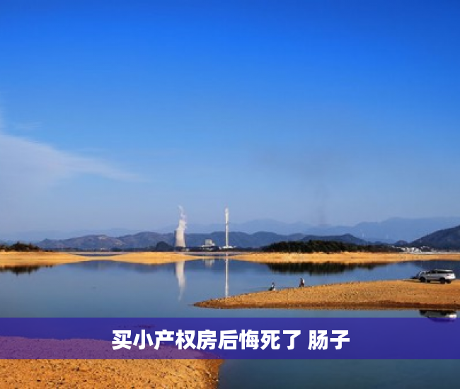 买小产权房后悔死了 肠子 买小产权房后悔死了 肠子
