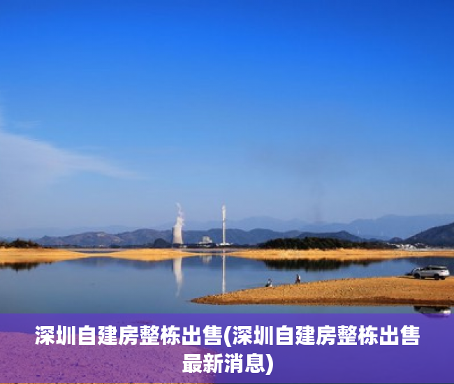 深圳自建房整栋出售(深圳自建房整栋出售最新消息)
