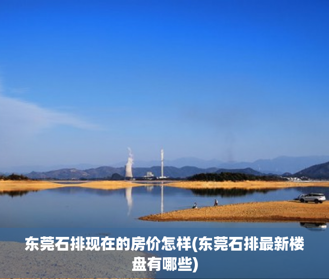 东莞石排现在的房价怎样(东莞石排最新楼盘有哪些) 东莞石排现在的房价怎样(东莞石排最新楼盘有哪些)
