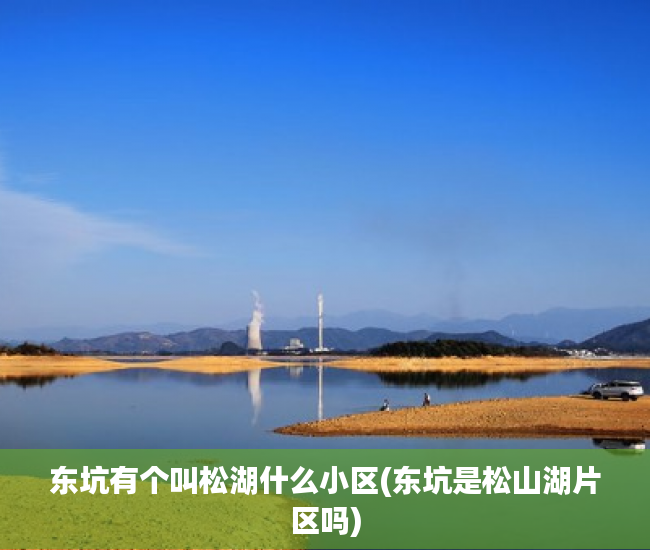 东坑有个叫松湖什么小区(东坑是松山湖片区吗)