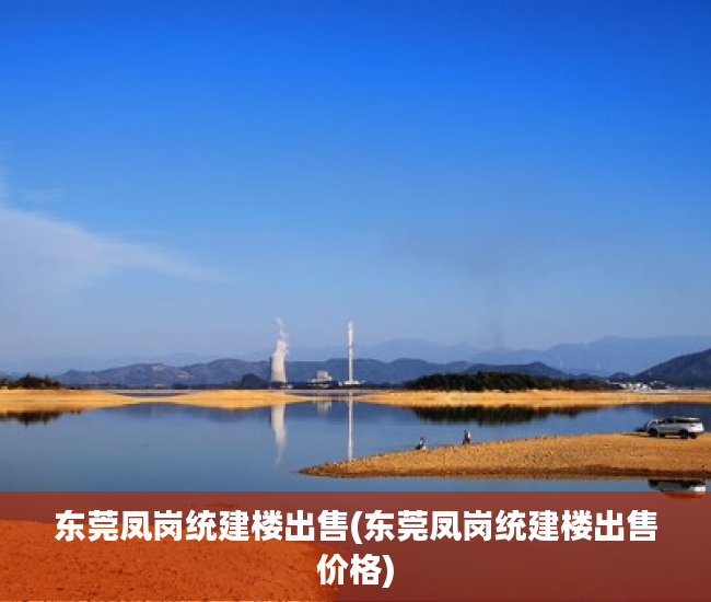 东莞凤岗统建楼出售(东莞凤岗统建楼出售价格) 东莞凤岗统建楼出售(东莞凤岗统建楼出售价格)