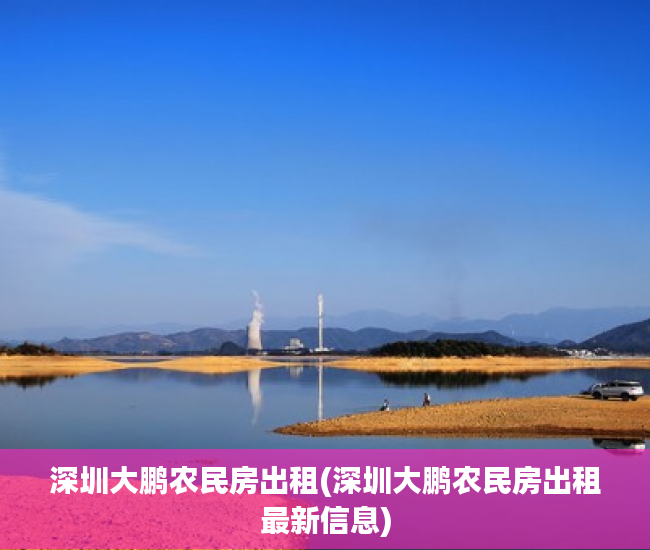 深圳大鹏农民房出租(深圳大鹏农民房出租最新信息)