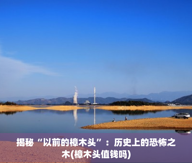 揭秘“以前的樟木头”：历史上的恐怖之木(樟木头值钱吗)