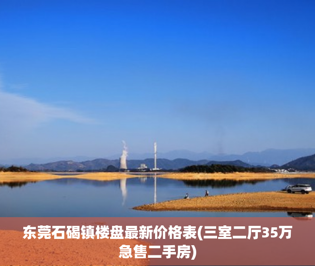 东莞石碣镇楼盘最新价格表(三室二厅35万急售二手房)