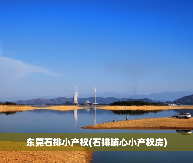 东莞石排小产权(石排埔心小产权房) 东莞石排小产权(石排埔心小产权房)