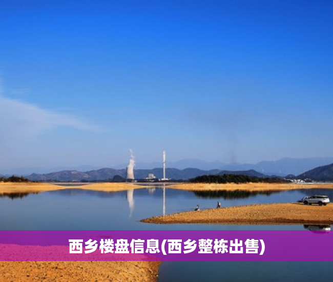 西乡楼盘信息(西乡整栋出售)