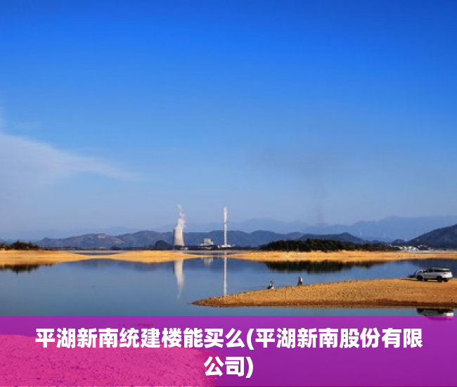 平湖新南统建楼能买么(平湖新南股份有限公司)