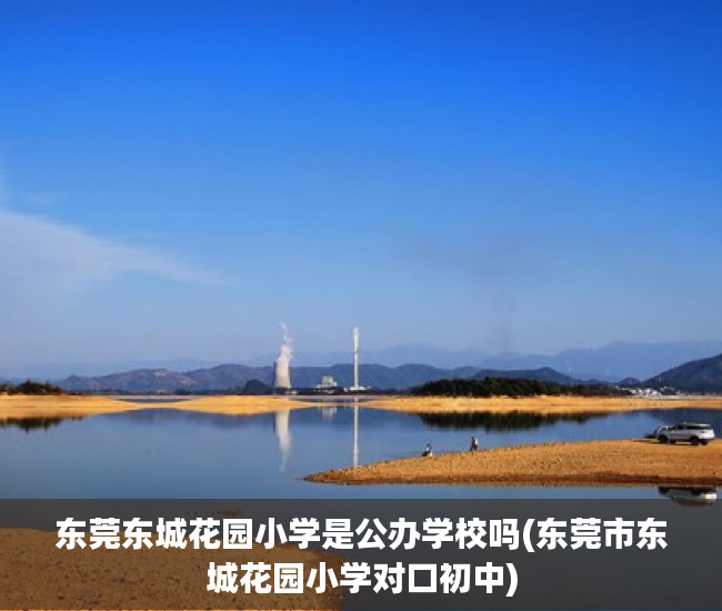 东莞东城花园小学是公办学校吗(东莞市东城花园小学对口初中) 东莞东城花园小学是公办学校吗(东莞市东城花园小学对口初中)