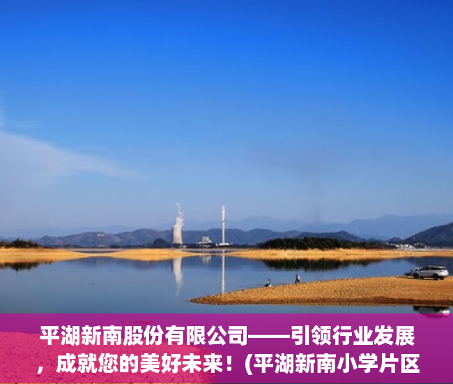 平湖新南股份有限公司——引领行业发展，成就您的美好未来！(平湖新南小学片区旧改新消息)