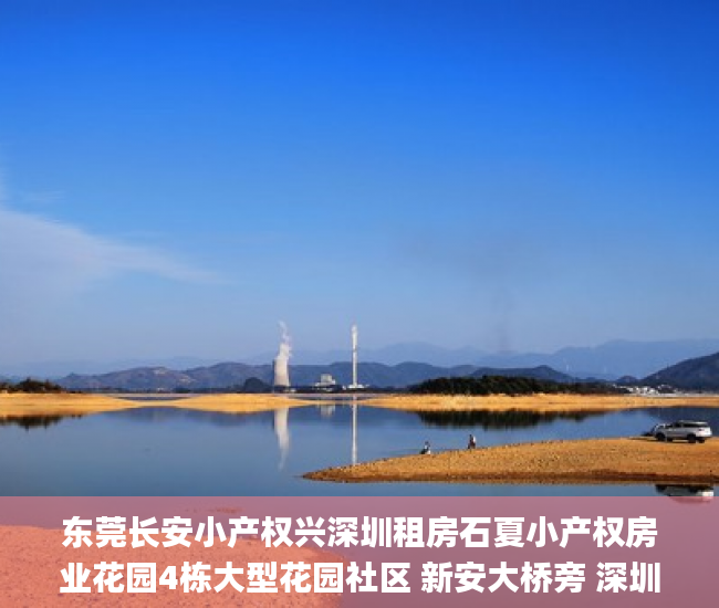 东莞长安小产权兴深圳租房石夏小产权房业花园4栋大型花园社区 新安大桥旁 深圳0距离  小产权房_深圳小产权房网