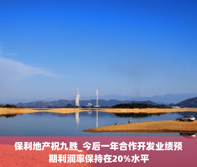 保利地产祝九胜_今后一年合作开发业绩预期利润率保持在20%水平
