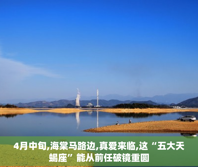4月中旬,海棠马路边,真爱来临,这“五大天蝎座”能从前任破镜重圆