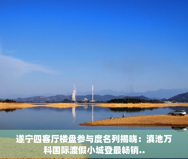 遂宁四客厅楼盘参与度名列揭晓：滇池万科国际渡假小城登最畅销..