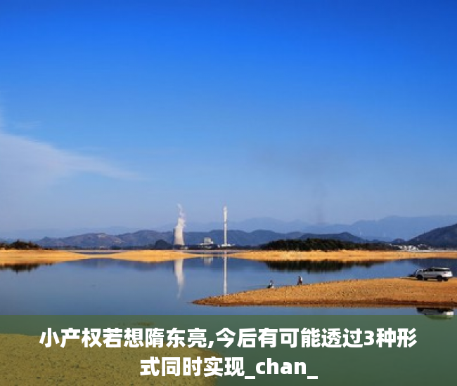 小产权若想隋东亮,今后有可能透过3种形式同时实现_chan_