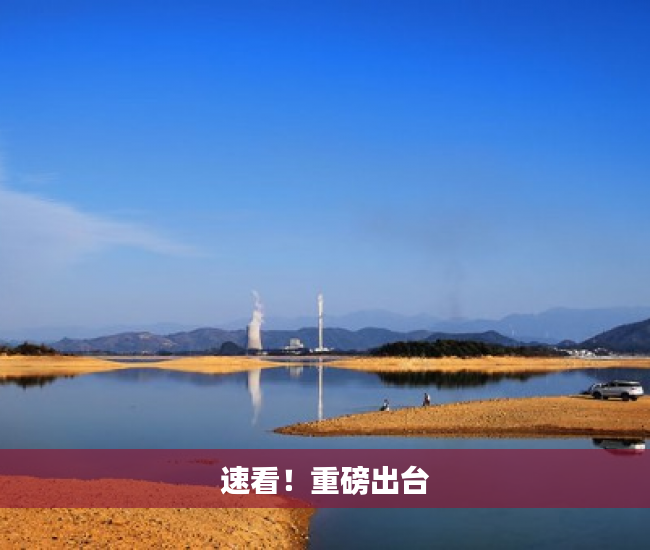 速看！重磅出台