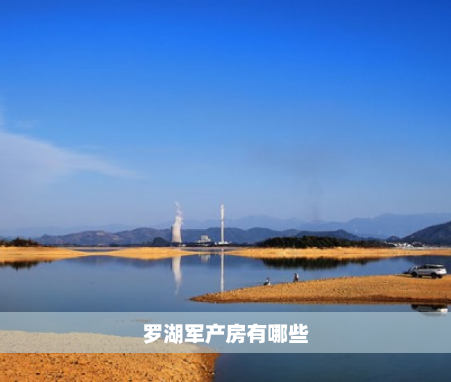 罗湖军产房有哪些