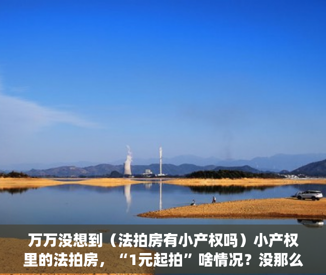 万万没想到（法拍房有小产权吗）小产权里的法拍房，“1元起拍”啥情况？没那么容易捡到“便宜”，法拍房1元起拍买得到吗，
